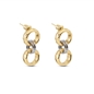 The Chain Addiction bi-color earrings with interlinking hoops-