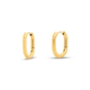 Hoops! small oblong gold plated earrings