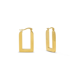 Hoops! oblong gold plated earrings-