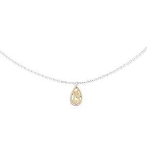 Lucky Charm 2024 bi-color silver chain necklace-