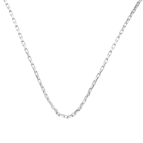 The Chain Addiction silvery chain necklace with small rectangular links-