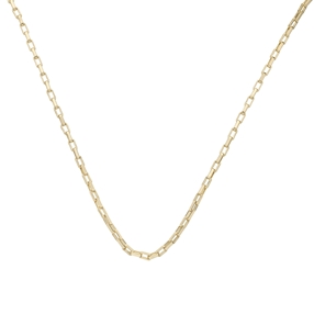 The Chain Addiction gold plated chain necklace with small rectangular links-