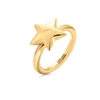 Style Stories Yellow Gold Plated Ring