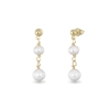The Chain Addiction gold plated dangle earrings with pearls